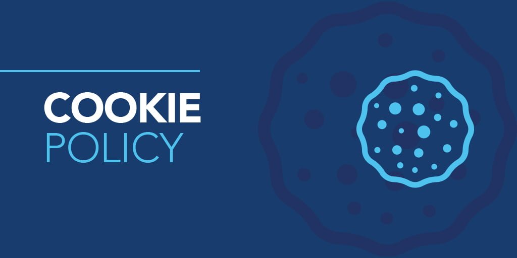 TheBizinsight Cookies Policy