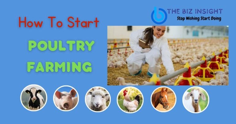 Poultry farming business plan